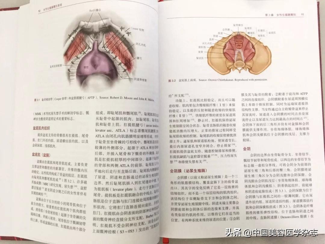 中国整形网，引领美容整形行业的新潮流
