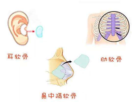 第1548页