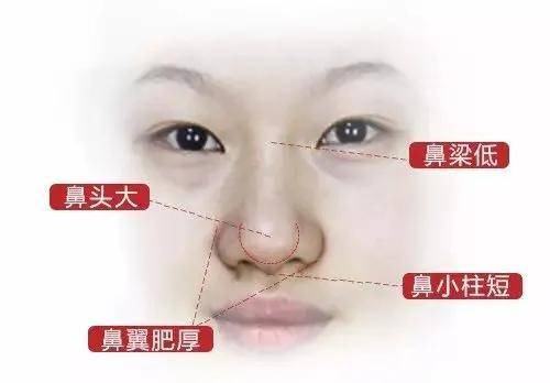 乐彩网论坛，探索乐彩世界的新天地——乐彩论坛的独特魅力与无限可能
