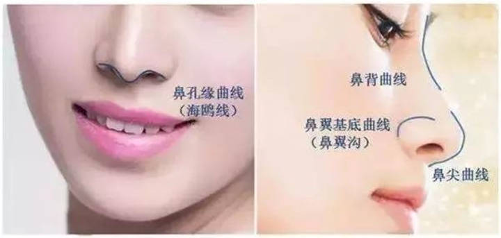 成功案例 第228页