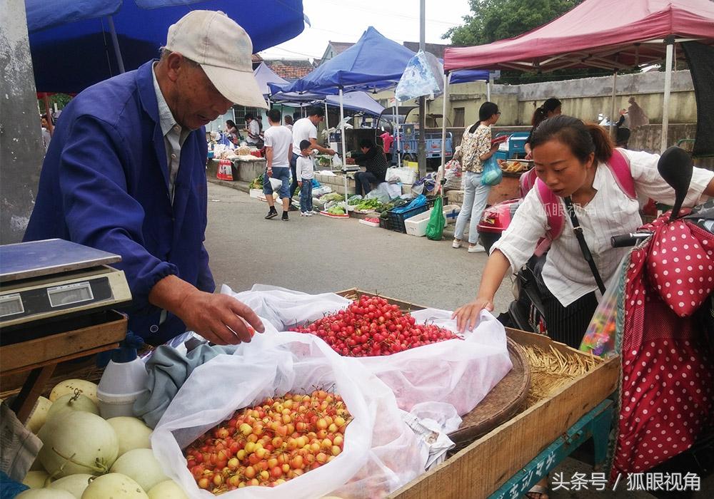 企业简介 第223页