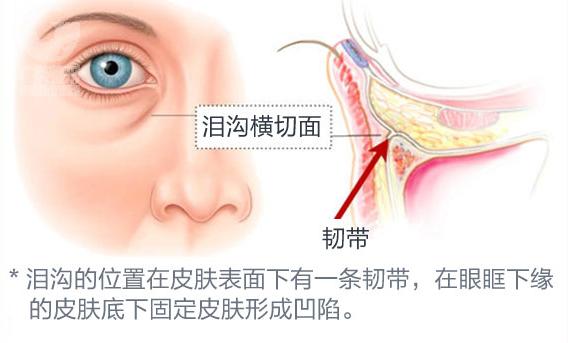 完美鼻型