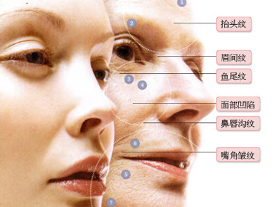 招商加盟 第221页