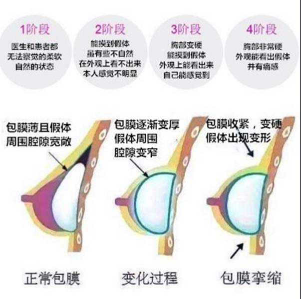 价格因素与费用概述