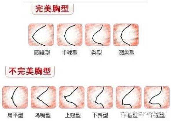 胸部整形的价格，全面解析与深度探讨