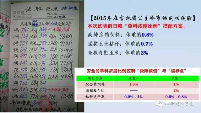 揭秘11选五最牛定胆方法——精准预测，胜券在握