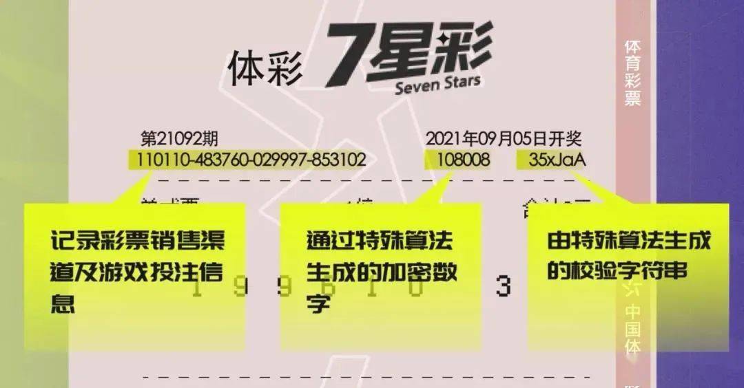 回顾历史，揭秘1998年全年彩票开奖号码