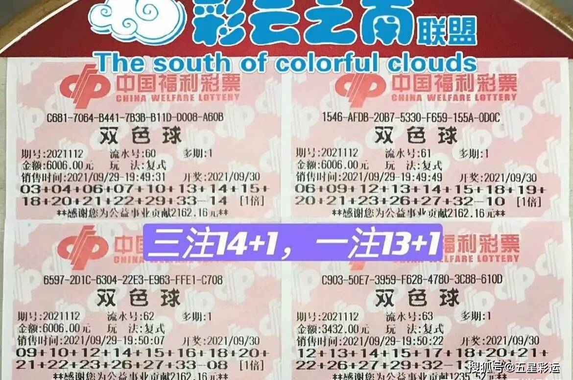 双色球彩票，探索复式投注的魅力与成本——以双色球复式投注中的双色球14+3为例
