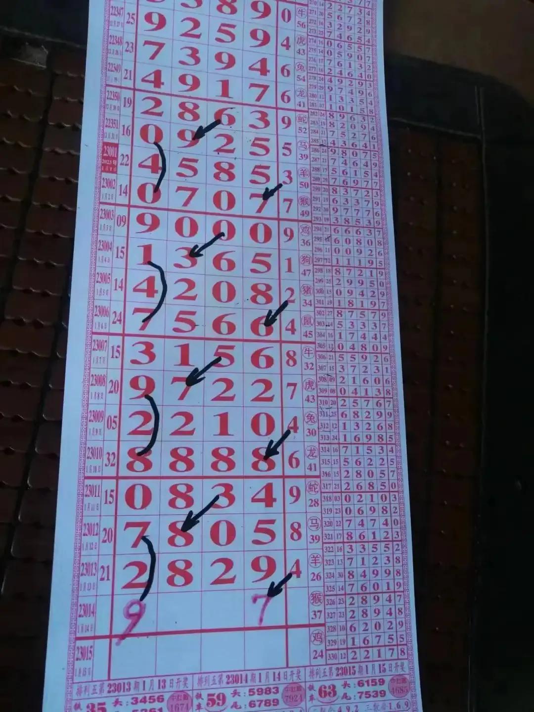 排列五走势图一综合版，探索数字世界的秘密