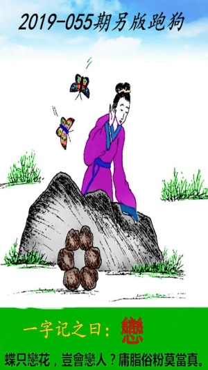 探索今日3D图谜的魅力，全图解析与总汇
