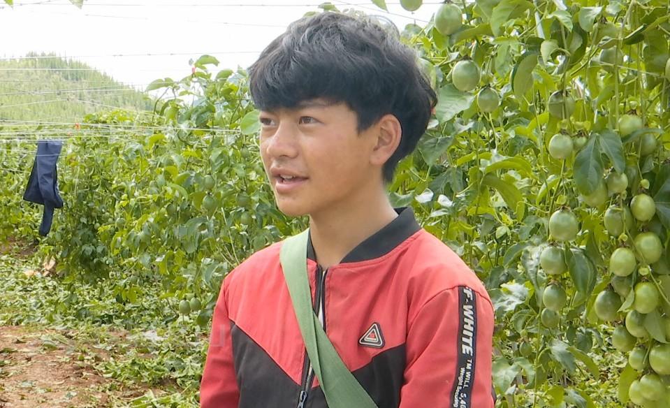 体彩排列三开奖视频直播，让彩票梦想触手可及
