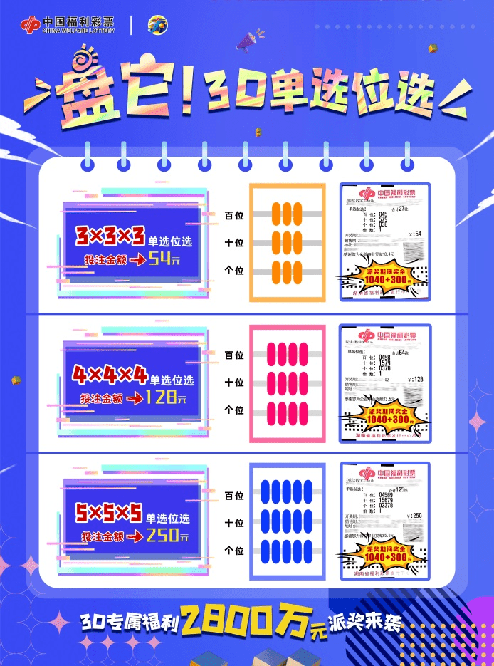 福彩3D胆码论坛，探索彩票游戏的新天地