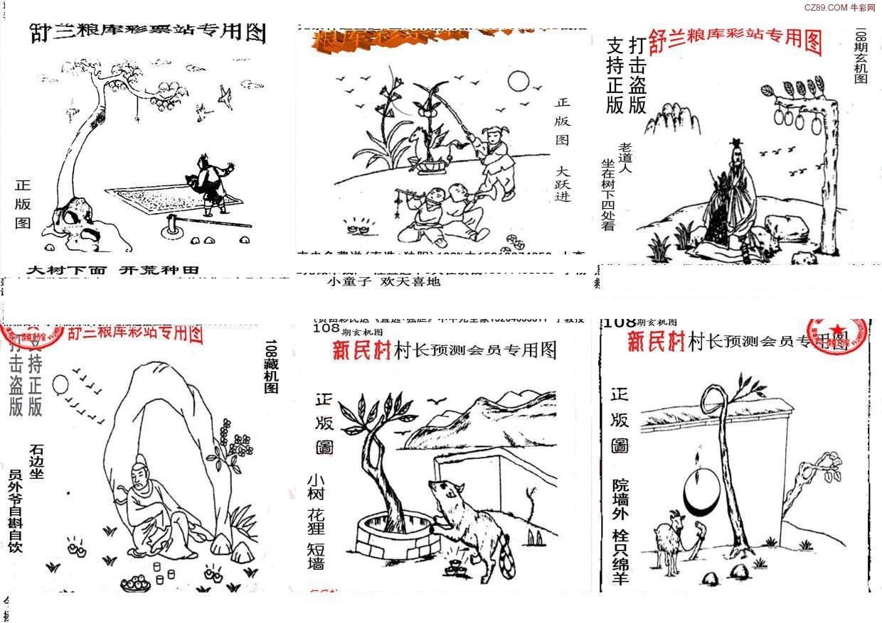福彩图库与天牛图库的探索