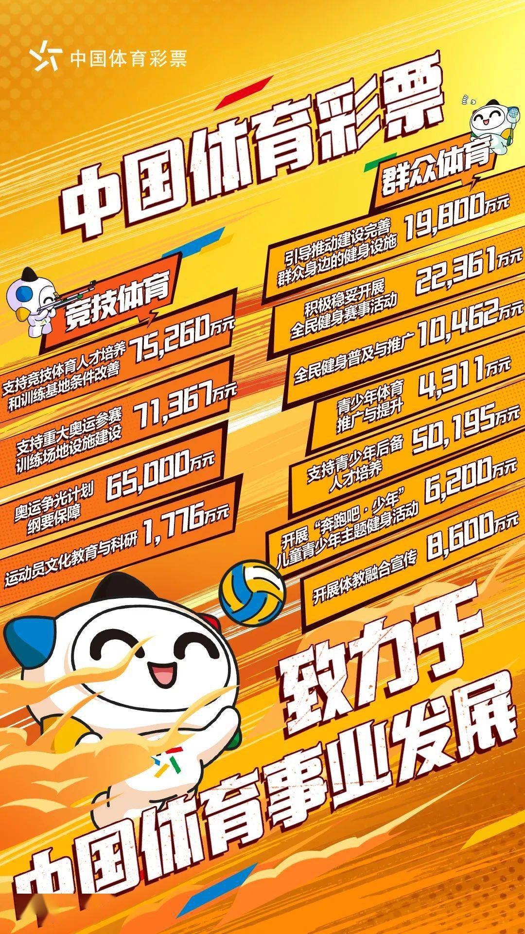体育彩票官方网，探索彩票的魅力与责任