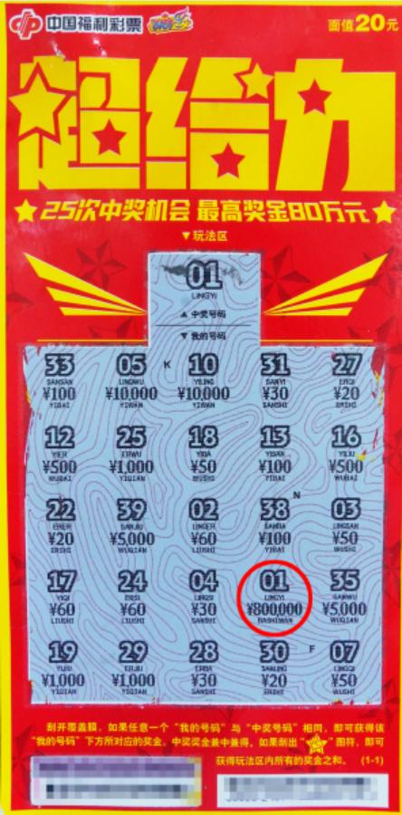 福建彩票网体育彩票，探索彩票的魅力与机遇