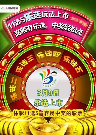 安徽11选5开奖查询结果，揭秘幸运背后的故事