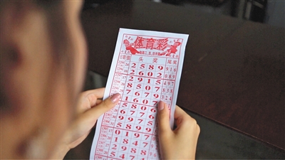 彩民乐与阳光探码图文版，探索彩票世界的乐趣与奥秘