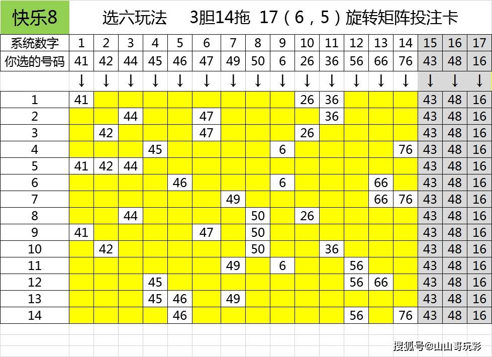 浙江快乐12开奖走势图下载，探索彩票数据的魅力