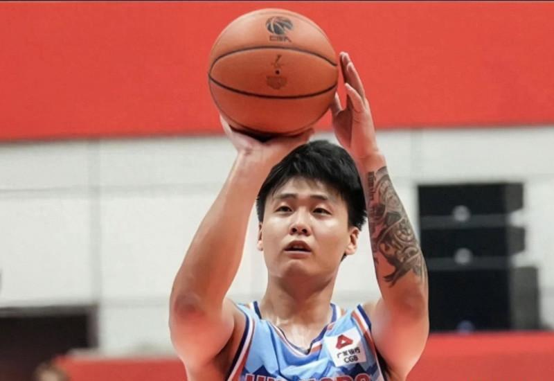 浙江彩票走势图，揭秘一定牛背后的秘密与策略分析