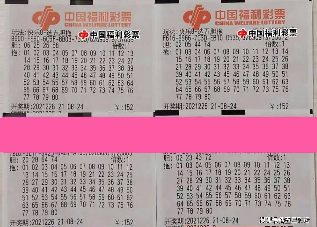 福彩3D彩民乐正版，探索彩票世界的乐趣与挑战