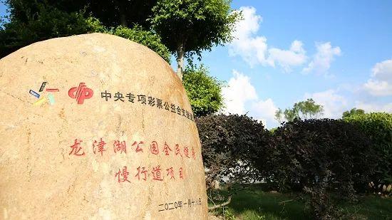 福建彩票快乐8，梦想与幸运的交汇点