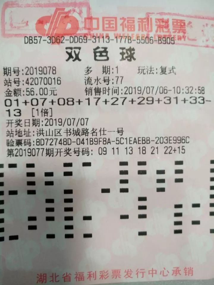 中国彩懂彩民，揭秘彩票背后的故事与55125现象
