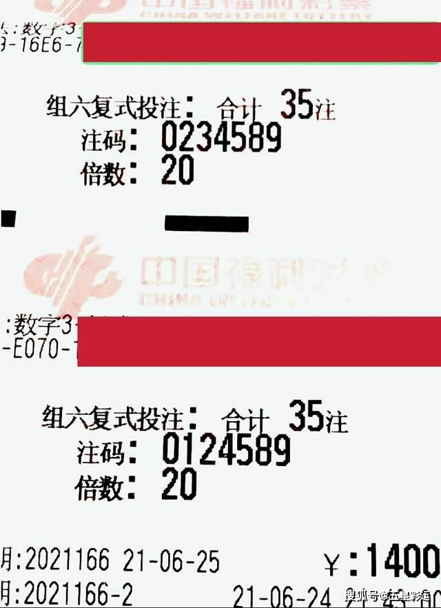 中国福利彩票31期，梦想与希望的力量