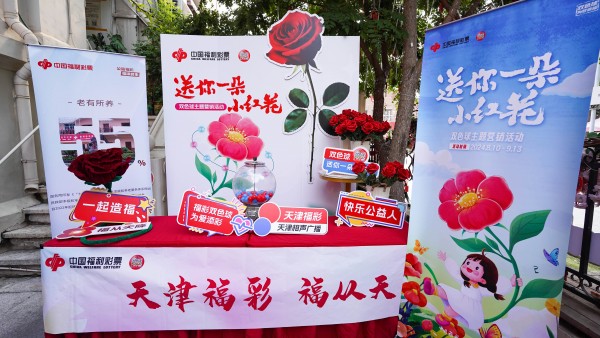 天津市福利彩票双色球查询，梦想与希望之舞