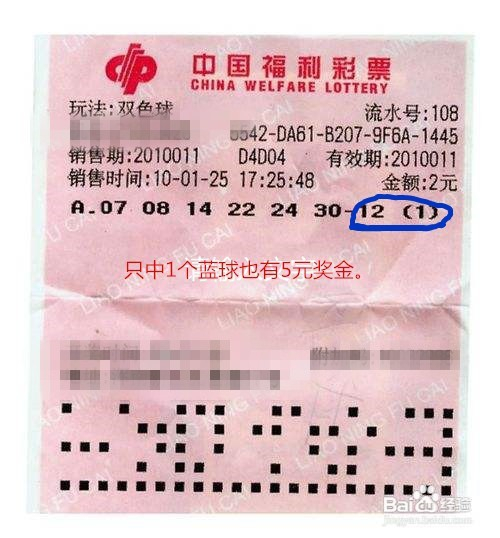 双色球2019年第006期开奖结果查询及分析