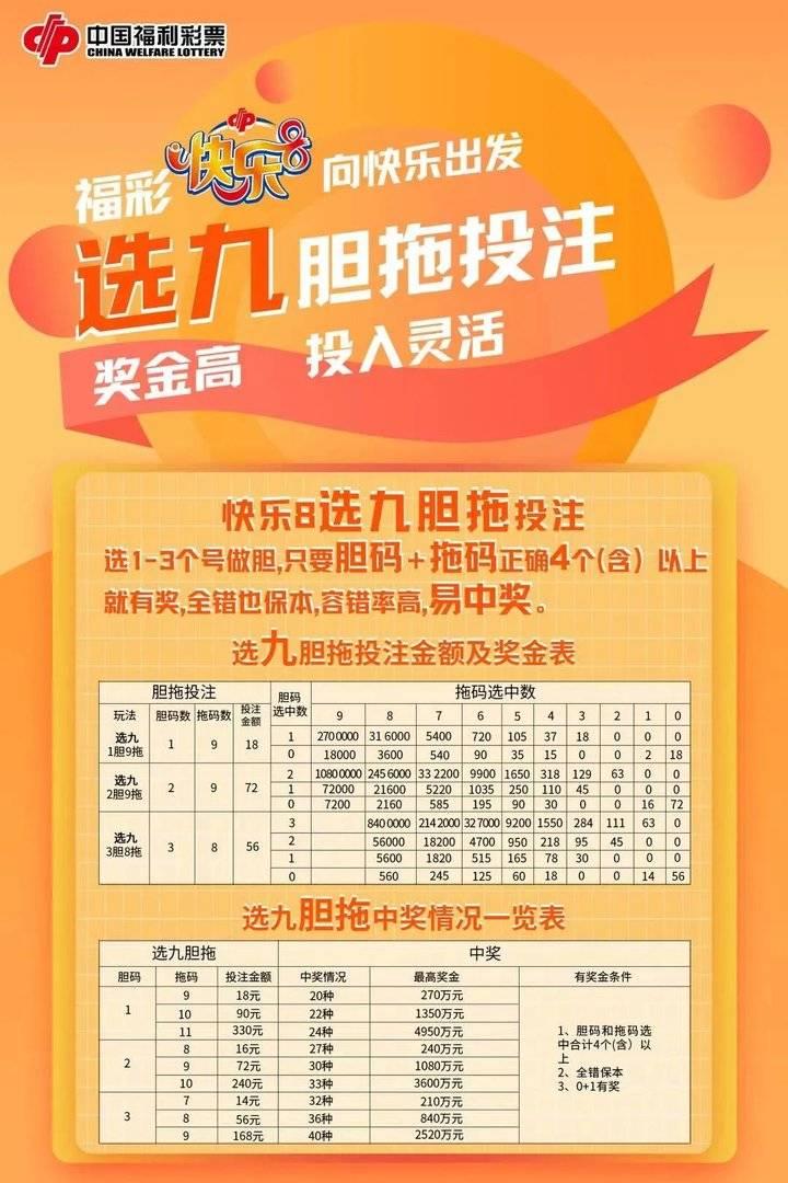 排列三组六胆拖投注计算器，智能工具助力彩票投注策略