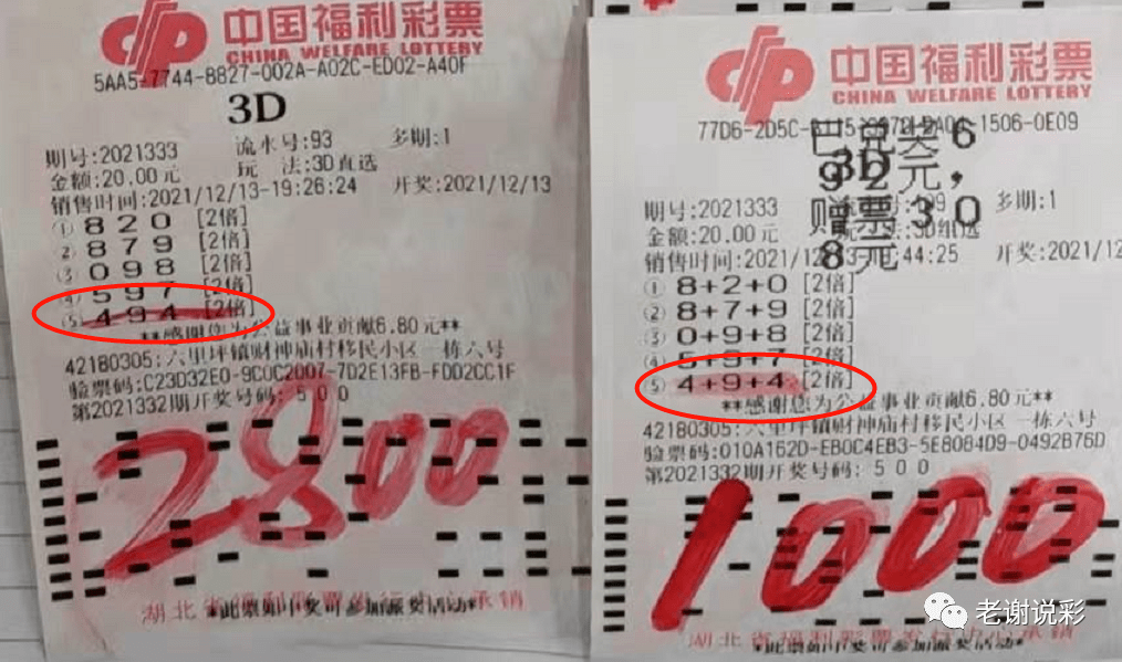 福彩3D 23年081期图迷总汇——探索彩票世界的奥秘与魅力