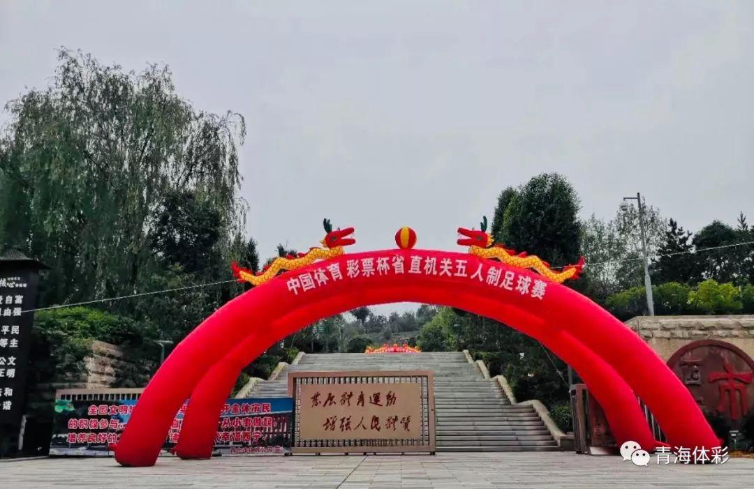 玩转体彩足球彩票，入门指南与策略技巧