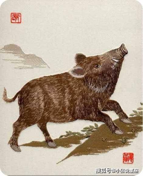 布衣天牛与好心人的图库传奇