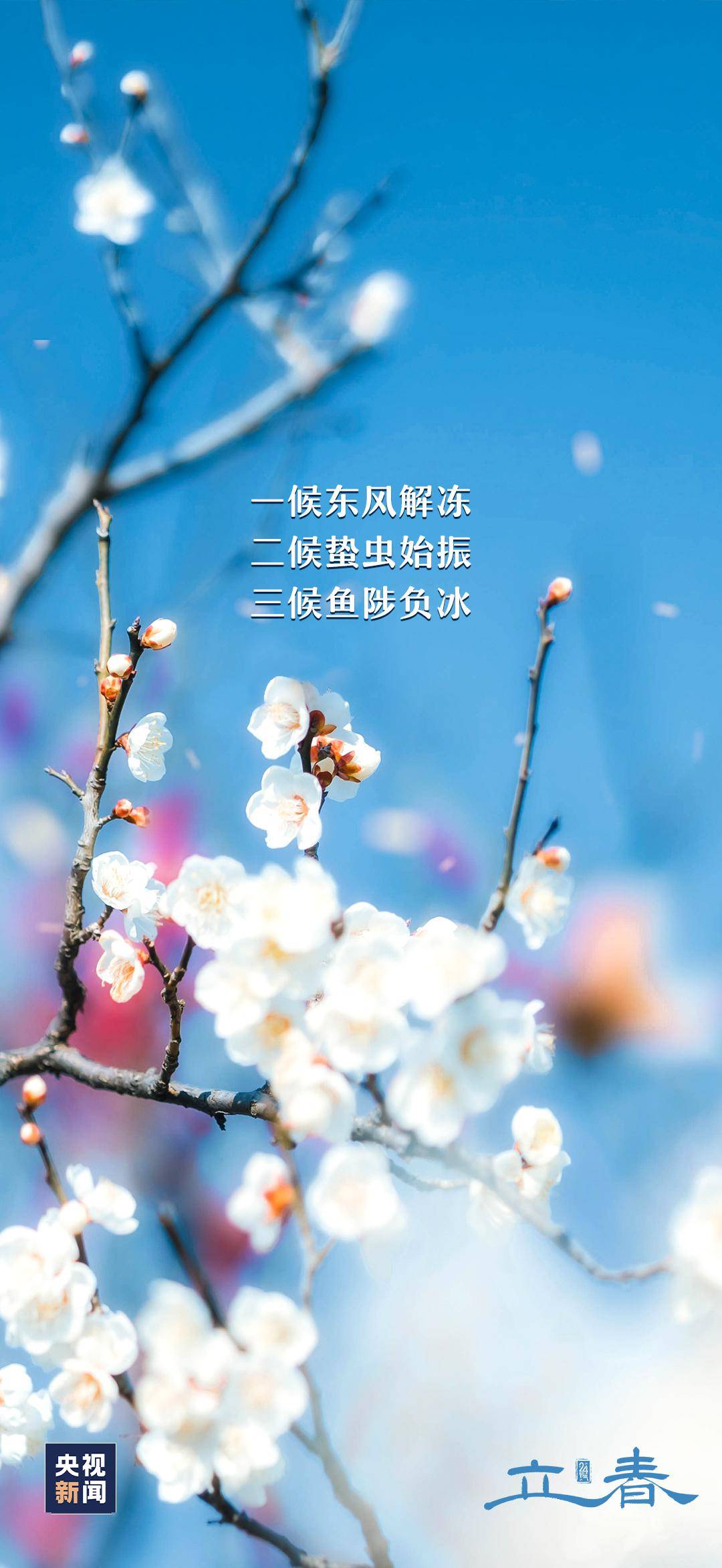 左岸春风一语断蓝解详细