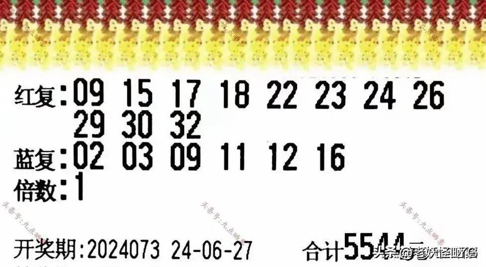 双色球彩票复式解析，一种投注策略的魅力与奥秘
