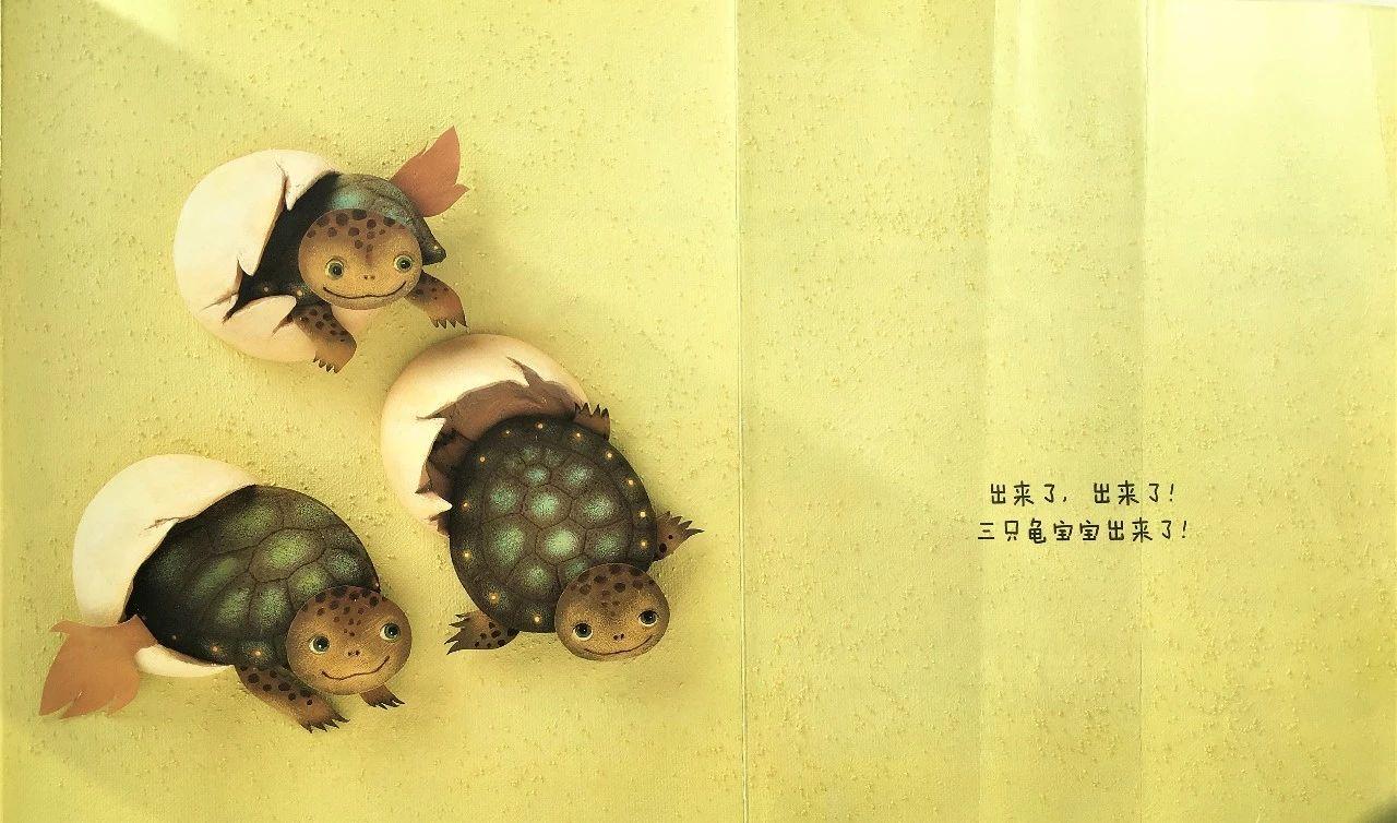 探索竟组词与龟组词的世界