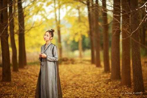 清秋居士的精准预测与深度解读——探索未来的3D预测推荐