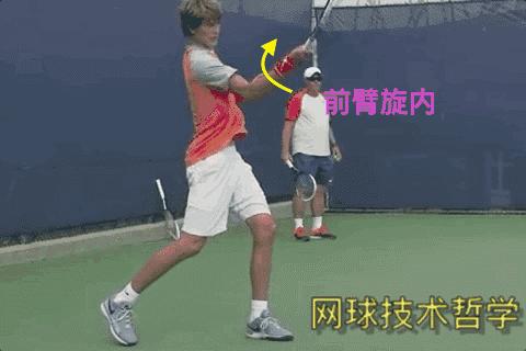 双色球双色走势图2，探索彩票世界的神秘面纱