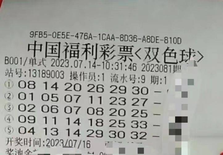 双色球2028，梦想与现实交织的彩票世界