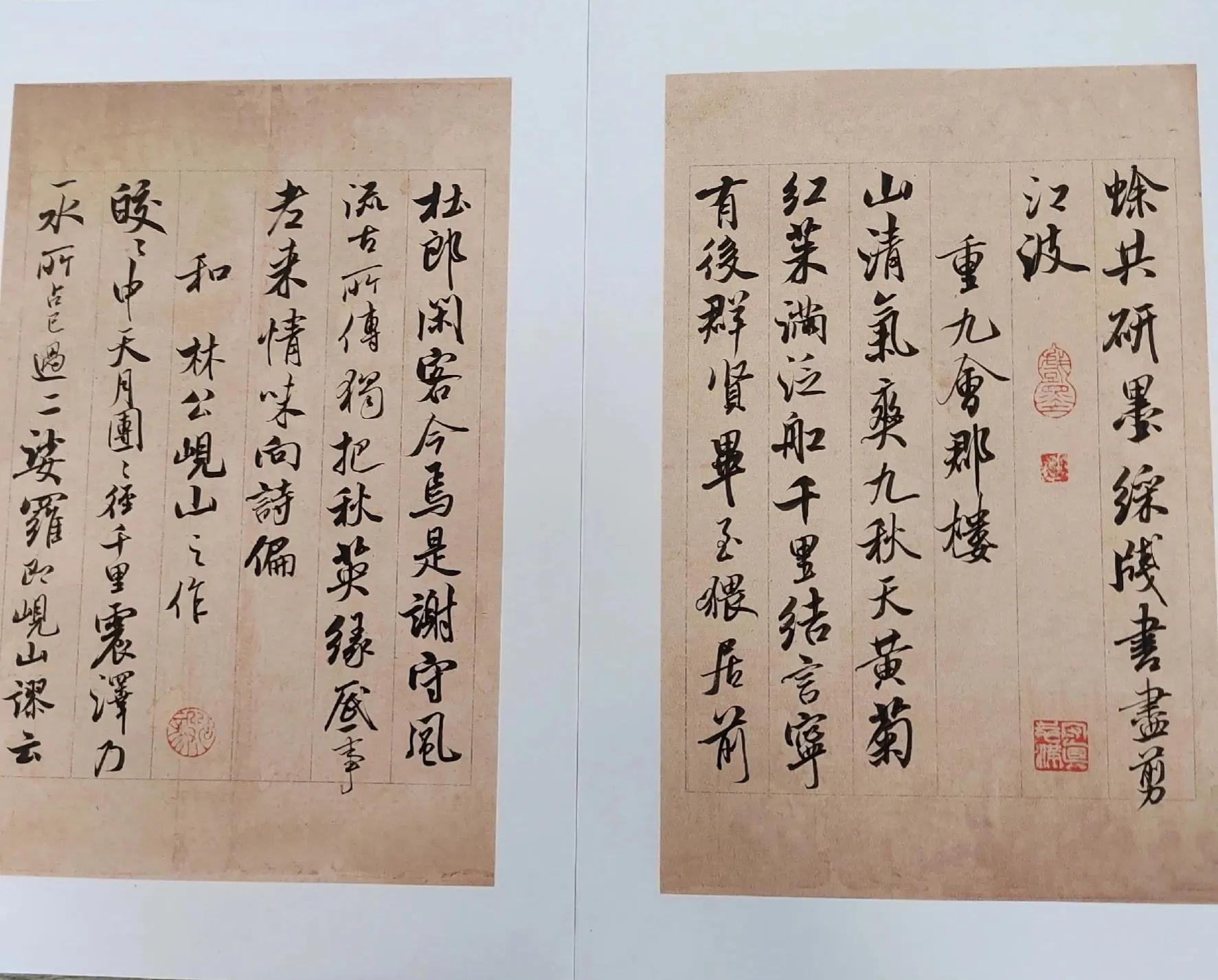 河北十一选五彩票下载，探索数字彩票的魅力