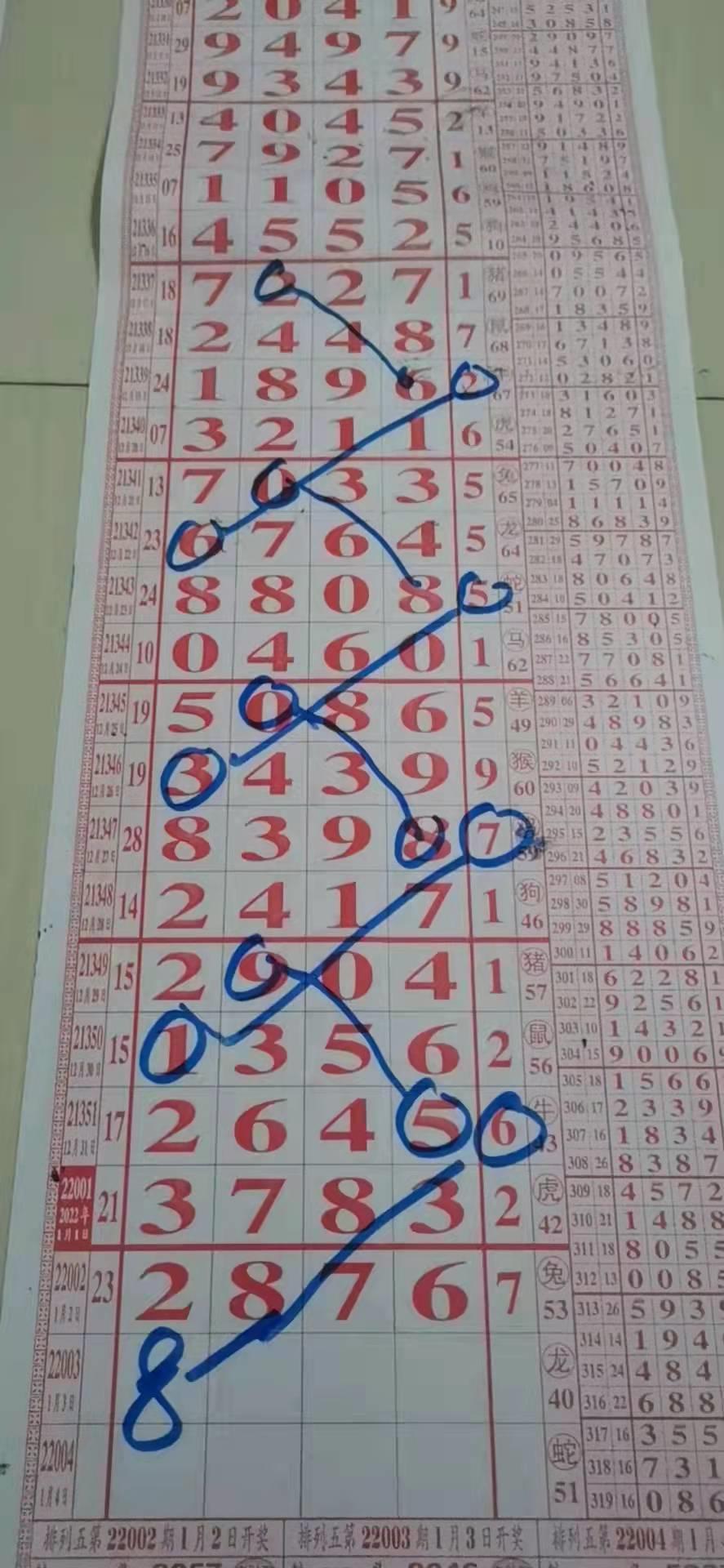 专业解读排三带线走势图与排列五的未来趋势