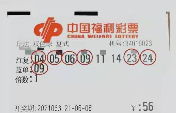 彩网518，探索数字彩票的新纪元