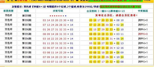 福彩官网首页开机号试机号金码，探索彩票世界的神秘面纱