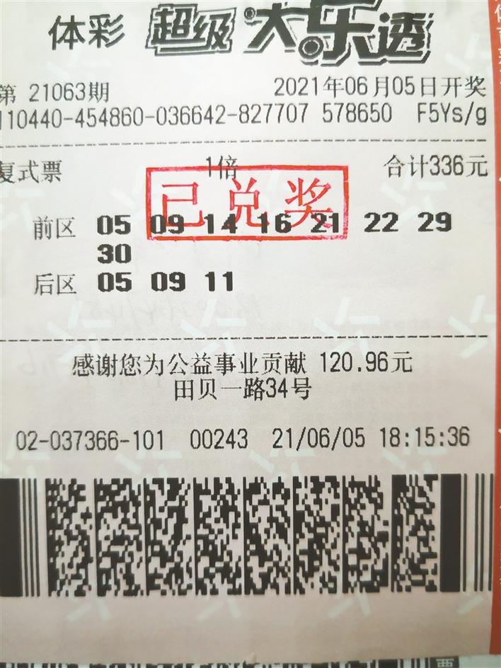 体彩中奖号码查询