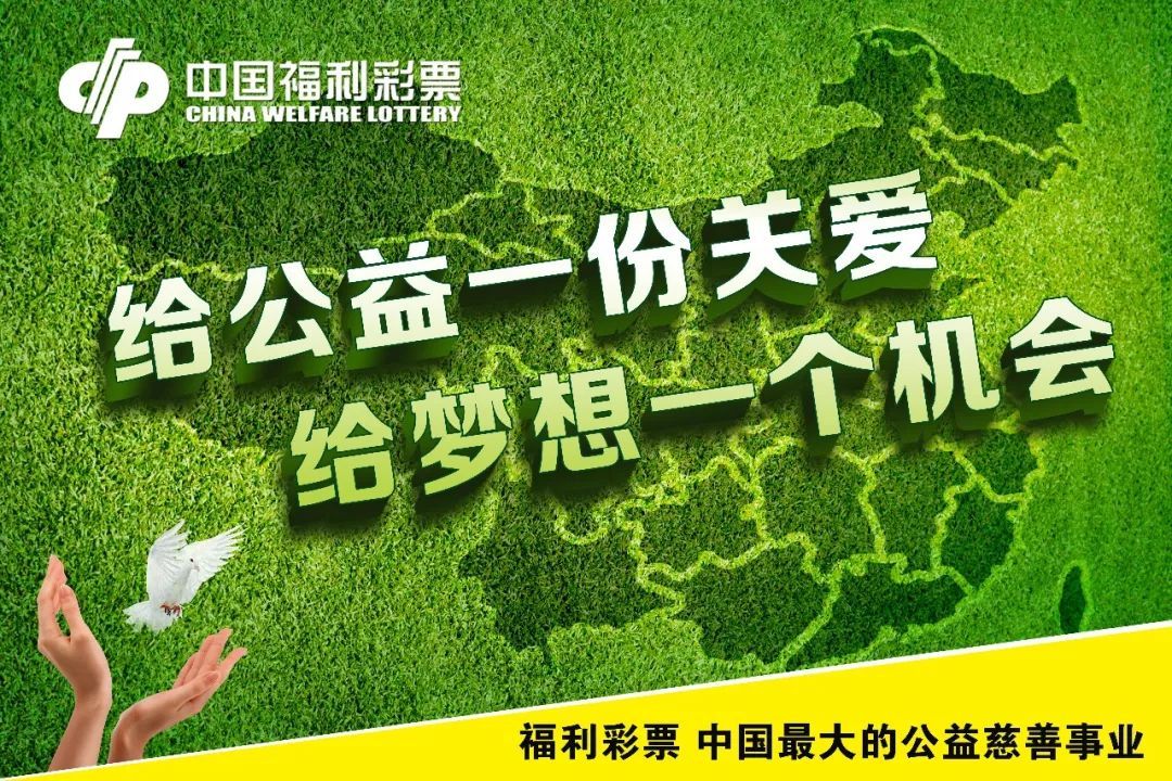 中国福利彩票网七乐彩，梦想与公益的完美结合