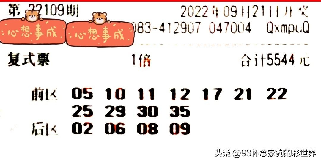 大乐透彩票结果揭晓，梦想与希望的力量