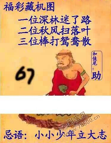 探索正版3D藏机图第245期，深度解读与体验分享