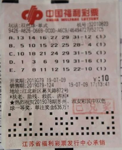 双色球2021058期齐天网，探索彩票背后的故事