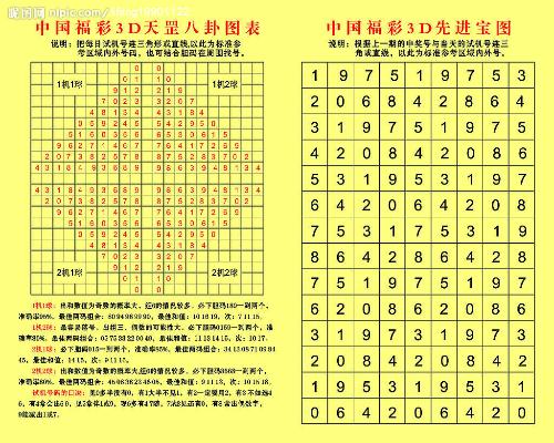 天齐网首页正版福彩3D字迷图迷，探索数字世界的奥秘与魅力