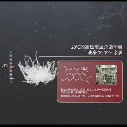 太湖钓叟的3D字谜世界，探索神秘的333期之旅（XXXX年）